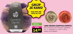 Boekenvoordeel Lana grossa gomitolo dipinto aanbieding