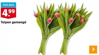 Hoogvliet Tulpen gemengd aanbieding