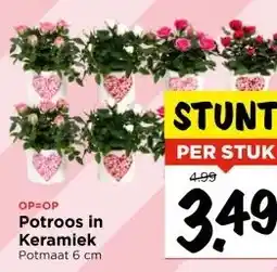 Vomar Voordeelmarkt OP=OP Potroos in Keramiek Potmaat 6 cm aanbieding