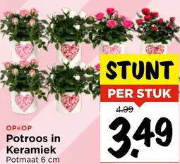 Vomar Voordeelmarkt Potroos in Keramiek aanbieding