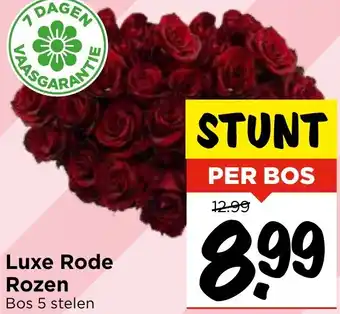 Vomar Voordeelmarkt Luxe Rode Rozen aanbieding