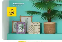 Xenos Fotolijst Palm aanbieding