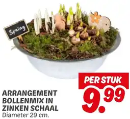 Dekamarkt Arrangement bollenmix in zinken schaal aanbieding