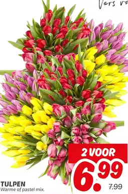 Dekamarkt Tulpen aanbieding