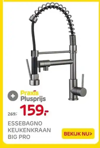 Praxis ESSEBAGNO KEUKENKRAAN BIG PRO aanbieding