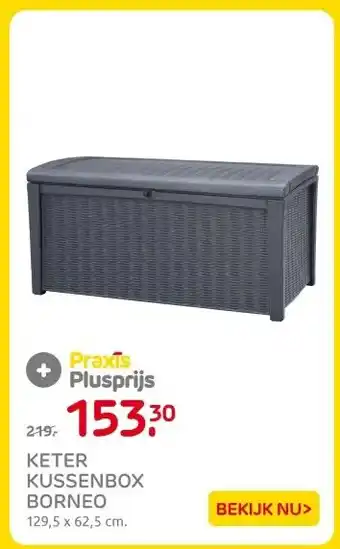 Praxis KETER KUSSENBOX BORNEO aanbieding