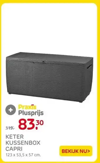 Praxis KETER KUSSENBOX CAPRI aanbieding