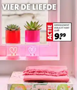 Intratuin ARRANGEMENT VERLICHT HART aanbieding