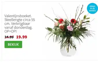 Intratuin Valentijnsboeket. Steellengte circa 55 cm. Verkrijgbaar vanaf donderdag. OP=OP! aanbieding