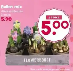 Boon`s Markt Bollen mix diverse kleuren 2 stuks aanbieding