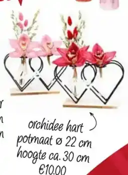 Poiesz orchidee hart aanbieding