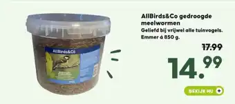 Pets Place AllBirds&Co gedroogde meelwormen aanbieding