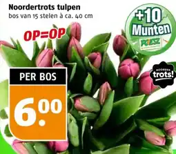 Poiesz Noordertrots tulpen aanbieding