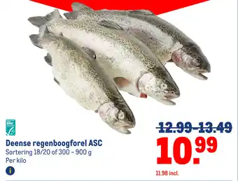 Makro Defense regenboogforel sac aanbieding