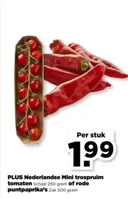 PLUS PLUS Nederlandse Mini trospruim tomaten Schaal 250 gram of rode puntpaprika's Zak 500 gram aanbieding