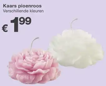 Kik Kaars pioenroos aanbieding