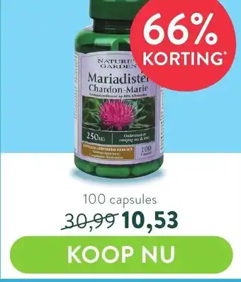 Holland & Barrett Nature's Garden Mariadister Chardon-Marie 250mg 100 capsules aanbieding