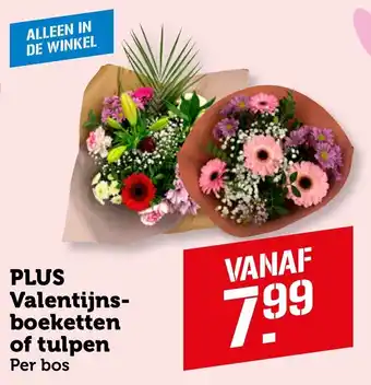 Coop PLUS Valentijns boeketten of tulpen aanbieding