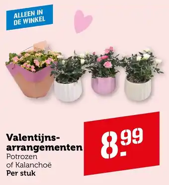 Coop Valentijns arrangementen aanbieding