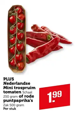 Coop PLUS Nederlandse Mini trospruim tomaten of rode puntpaprika's aanbieding