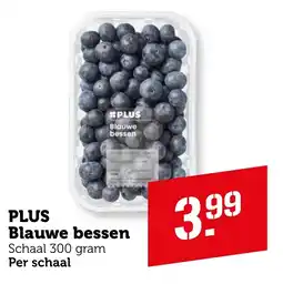 Coop PLUS Blauwe bessen aanbieding