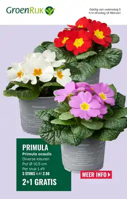 GroenRijk Primula acaulis aanbieding