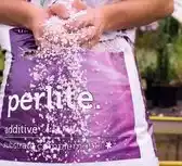 Bol.com Plagron Perlite - Meststoffen - 60 l aanbieding