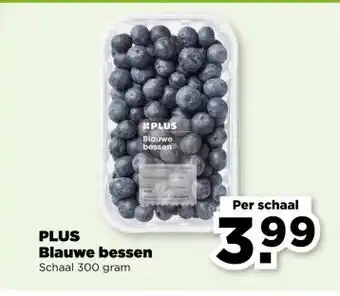 PLUS PLUS Blauwe bessen aanbieding