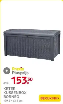 Praxis KETER KUSSENBOX BORNEO aanbieding