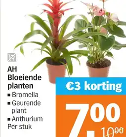 Albert Heijn AH Bloeiende planten aanbieding