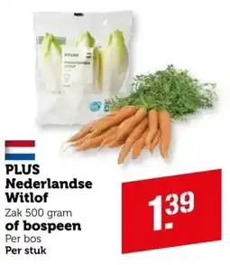 Coop Plus nederlandse witlof of bospeen aanbieding