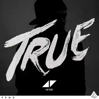 Amazon Avicii - True aanbieding