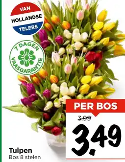 Vomar Voordeelmarkt Tulpen aanbieding