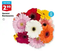 Hoogvliet Germini Rainbowmix aanbieding