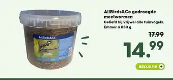 Pets Place AllBirds&Co gedroogde meelwormen aanbieding