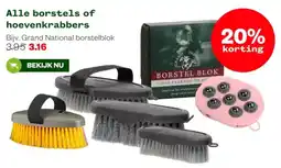 Welkoop Alle borstels of hoevenkrabbers aanbieding