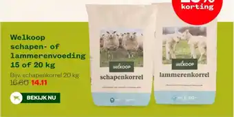 Welkoop Welkoop schapen of lammerenvoeding aanbieding