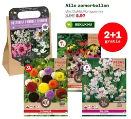 Welkoop Alle zomerbollen aanbieding