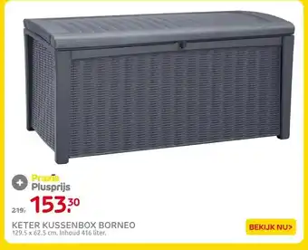 Praxis KETER KUSSENBOX BORNEO aanbieding