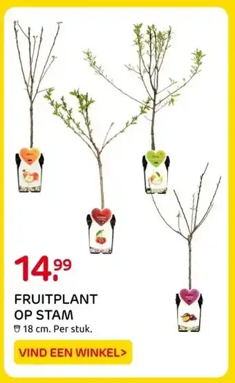 Praxis FRUITPLANT OP STAM aanbieding