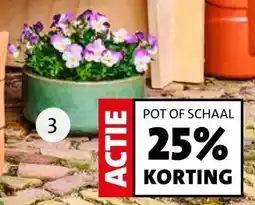 Intratuin POT OF SCHAAL 25% KORTING aanbieding