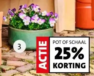 Intratuin POT OF SCHAAL 25% KORTING aanbieding