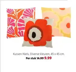 Intratuin Kussen Niels. aanbieding