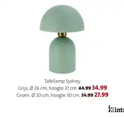 Intratuin Tafellamp Sydney. aanbieding