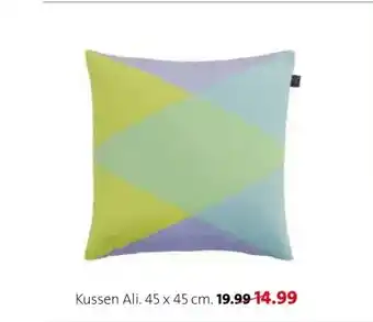 Intratuin Kussen Ali. aanbieding