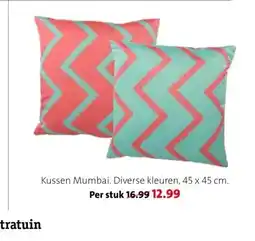 Intratuin Kussen Mumbai. aanbieding