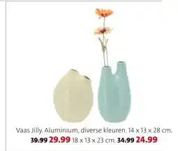 Intratuin Vaas Jilly. aanbieding