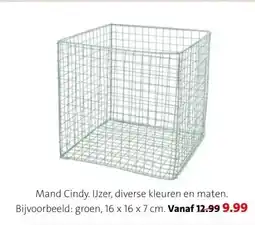 Intratuin Mand Cindy. IJzer, diverse kleuren en maten. aanbieding