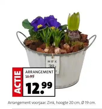 Intratuin ARRANGEMENT aanbieding