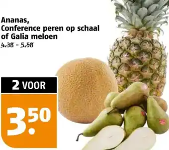 Poiesz Ananas, Conference peren op schaal of Galia meloen aanbieding